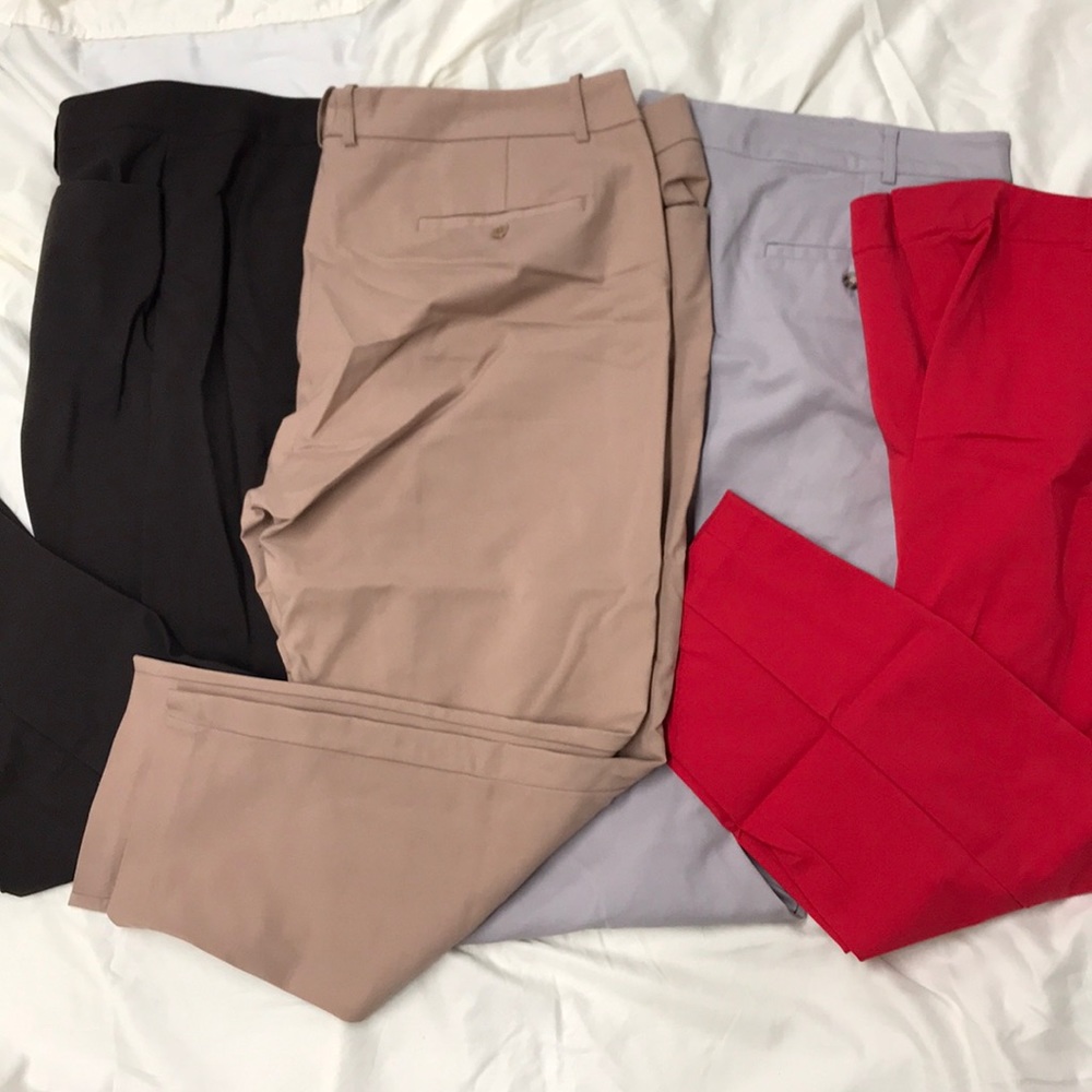 Eloquii Kady Fit pant khaki brown red 24W